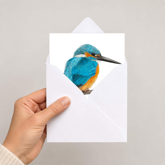 Hand holding a white envelope with a kingfisher greetings card inside on a light gray background