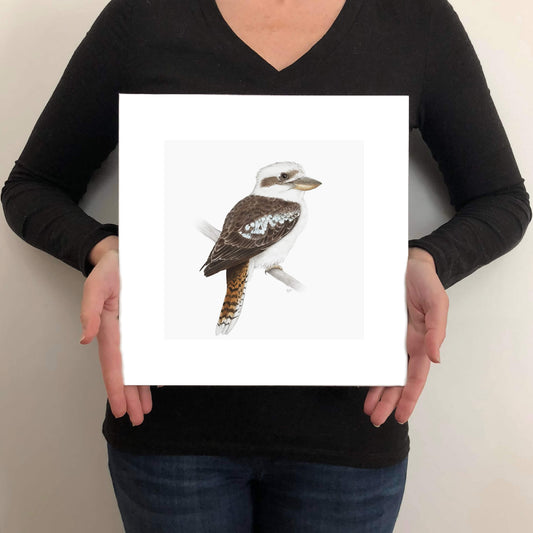 A giclée fine art print on paper of a kookaburra bird on a light grey background. This image illustrates the print size.