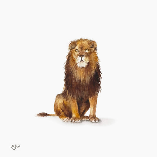 Detailed illustration of a lion on a white background