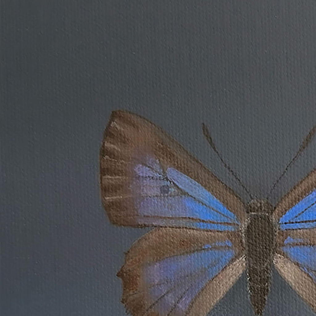 Bulloak jewel butterfly original painting