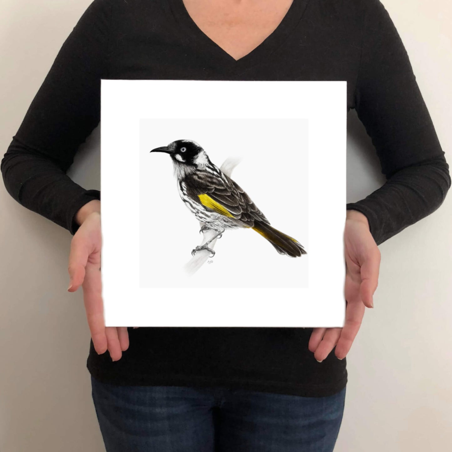 A giclée fine art print on paper of a New Holland Honeyeater bird on a light grey background. This image illustrates the print size.