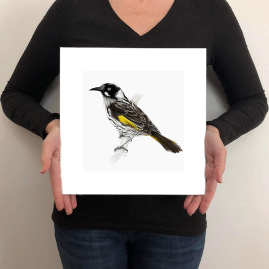 A giclée fine art print on paper of a New Holland Honeyeater bird on a light grey background. This image illustrates the print size.