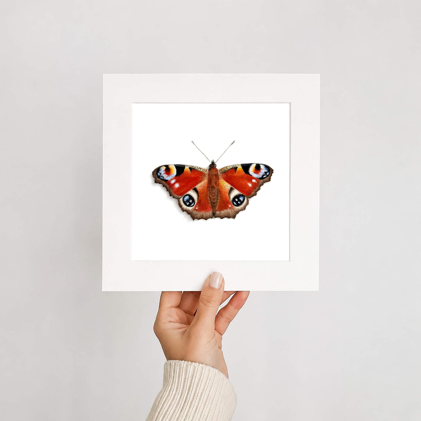 Peacock butterfly illustration in a white mount held by a hand against a light gray background