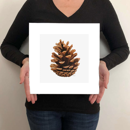 A giclée fine art print on paper of a pine cone on a light grey background. This image illustrates the print size.