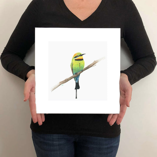 A giclée fine art print on paper of a Rainbow Bee-eater bird on a light grey background. This image illustrates the print size.