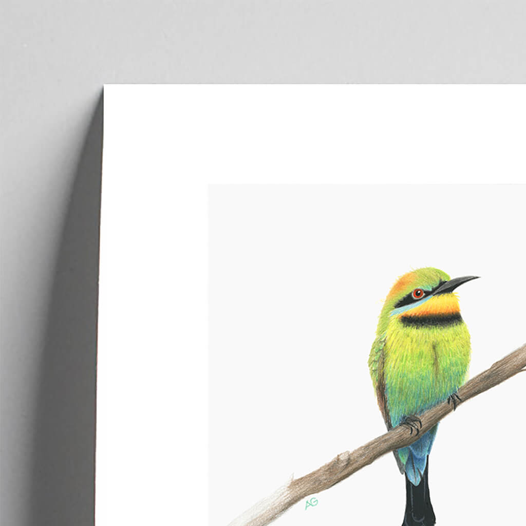 Giclée fine art print of a Rainbow Bee-eater on a pale grey background. This image shows a section, to highlight the detail.