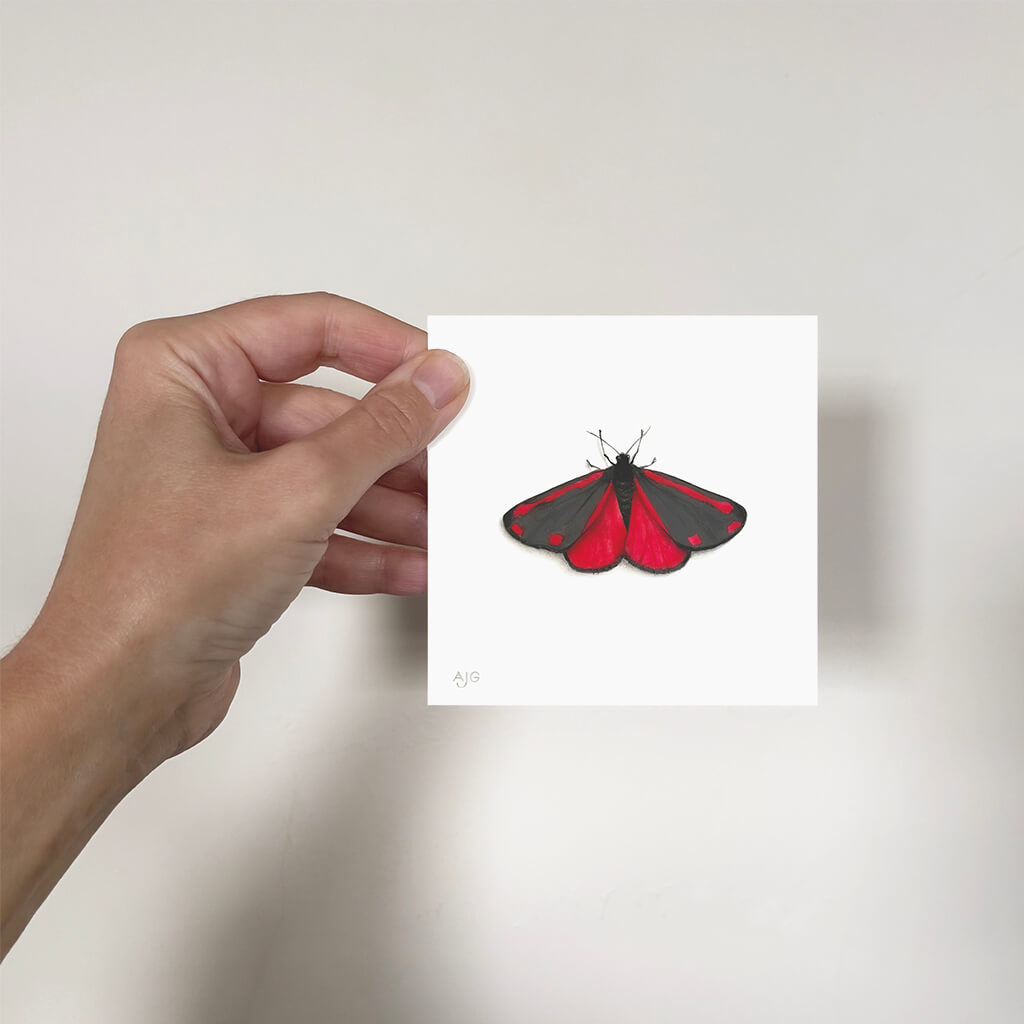 Hand holding a miniature painting of a red and black butterfly illustration on a white background