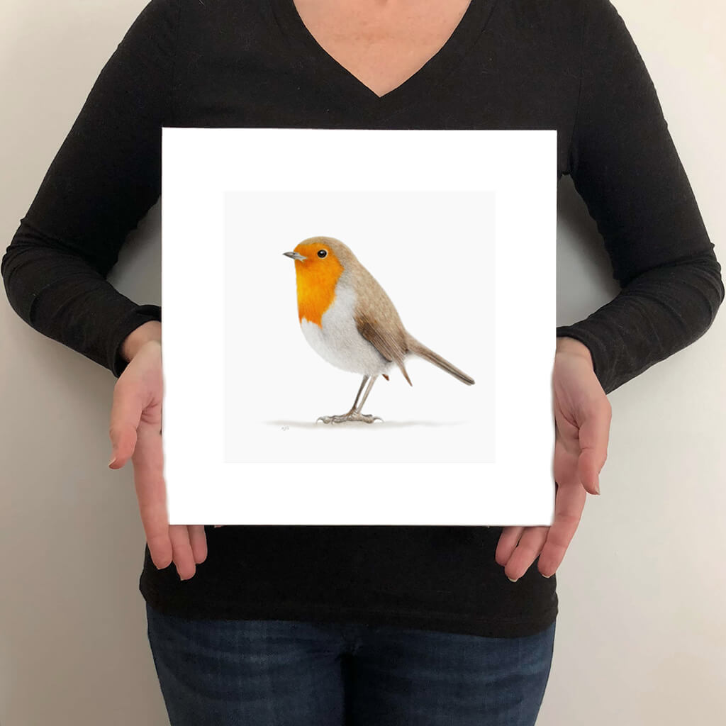 A giclee fine art print on paper of a robin bird on a light grey background. This image illustrates the print size.