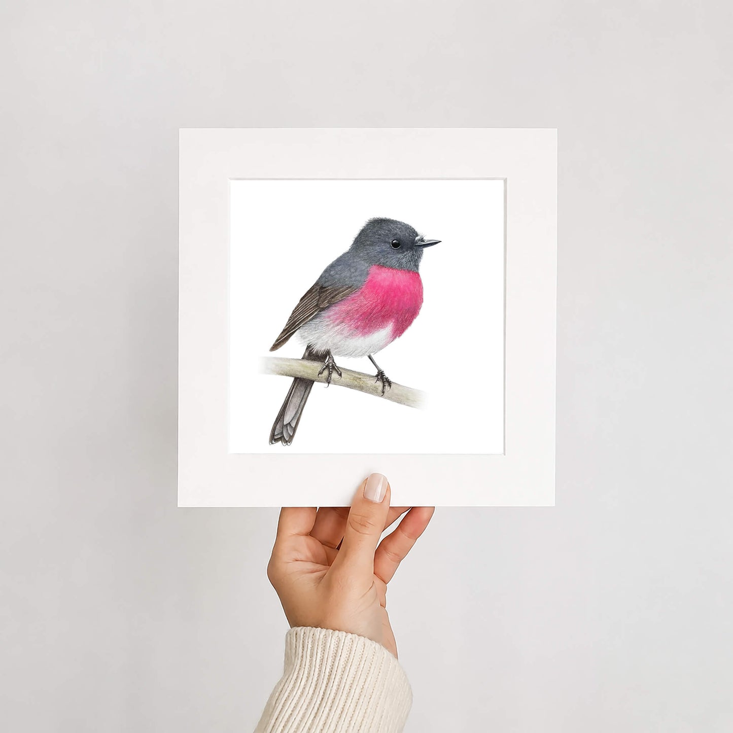 Framed artwork of a bird with pink and grey plumage held by a hand on a light grey background