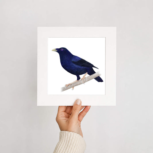Hand holding a framed print of a blue bird on a white background