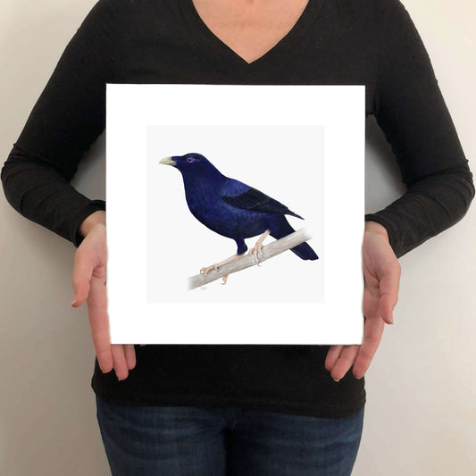 Person holding a card with a blue bird illustration on a plain background