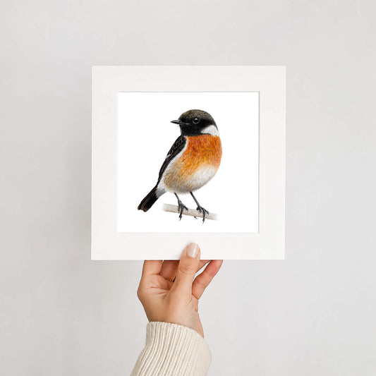 Hand holding a framed print of a stonechat bird on a white background