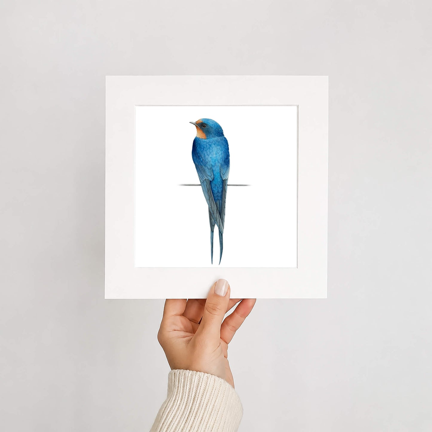 Hand holding a card with a swallow bird illustration against a white background