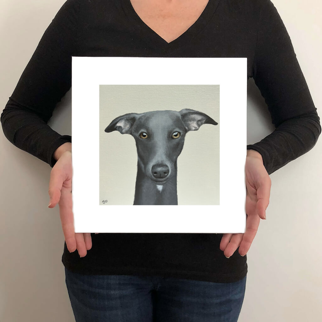 A giclee fine art print on paper of a whippet dog on a light warm grey background. This image illustrates the print size.