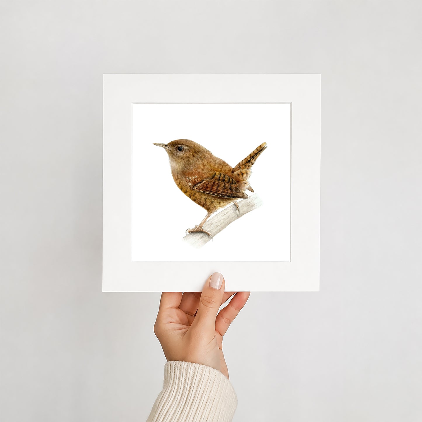 Hand holding a mounted print of a wren on a light gray background