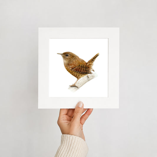 Hand holding a mounted print of a wren on a light gray background