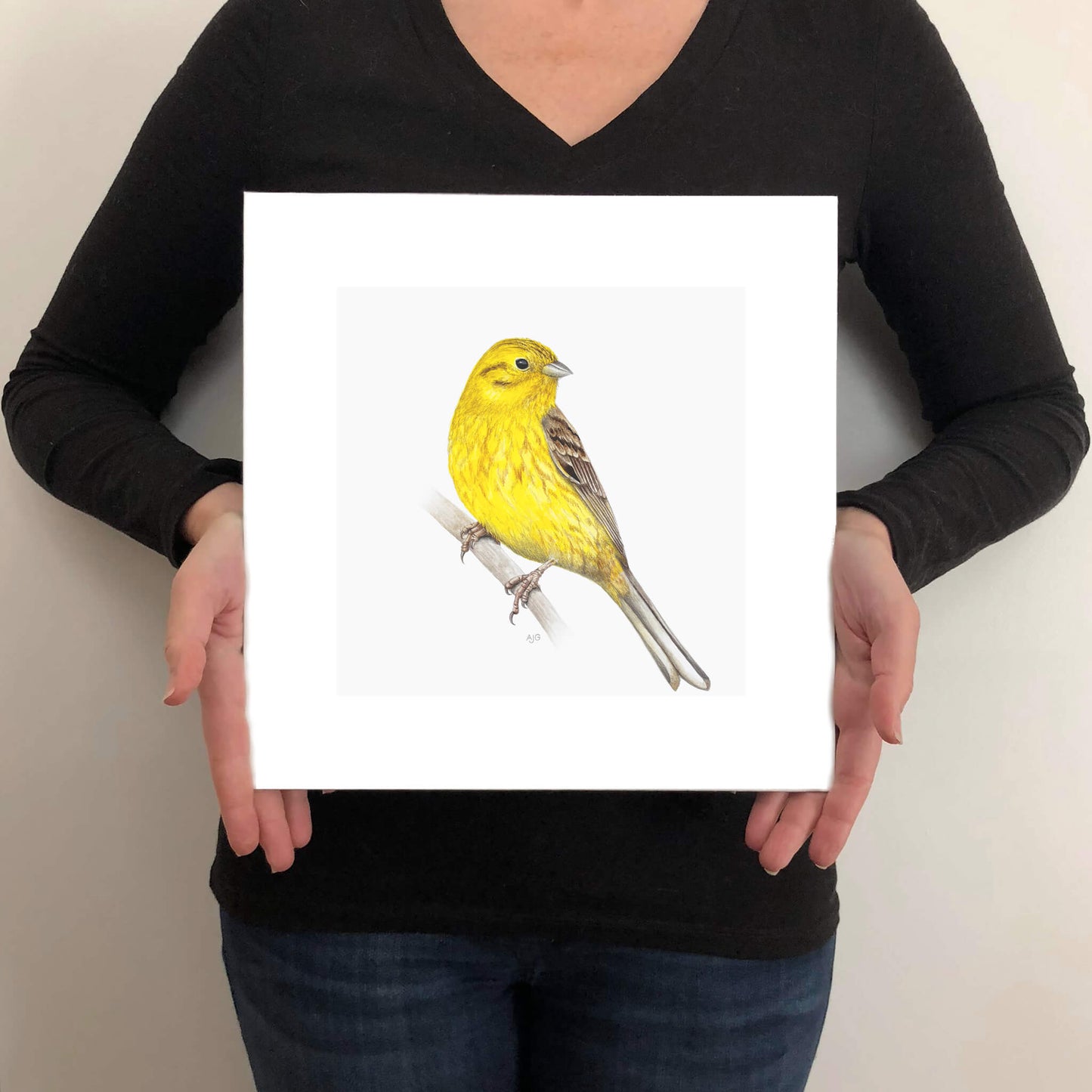 A giclée fine art print on paper of a yellowhammer bird on a light grey background. This image illustrates the print size.