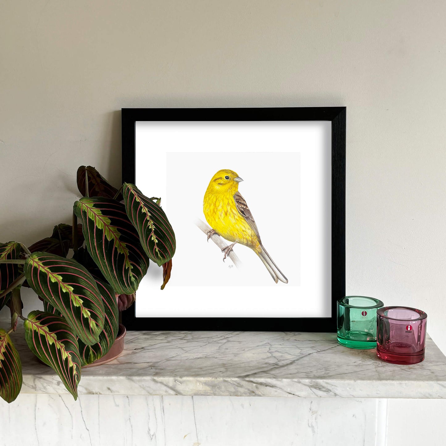 A bird giclée fine art print on paper of a yellowhammer. Image shows the print framed and in a room setting.