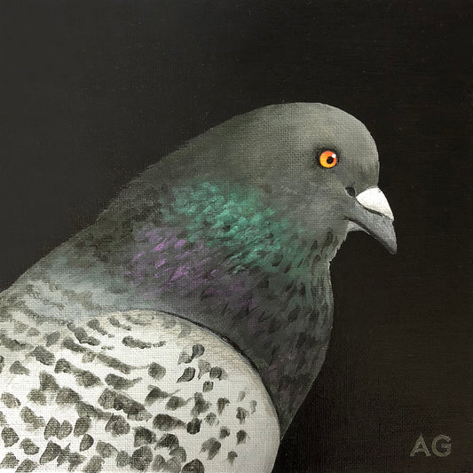 Pigeon portrait painting in acrylic on canvas