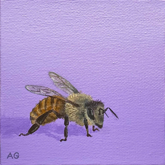 A miniature painting of a honey bee on a violet lavender purple background painted by artist Amanda Gosse