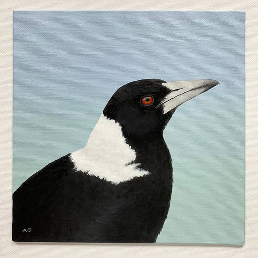 An original painting of an Australian magpie against pale blue green background