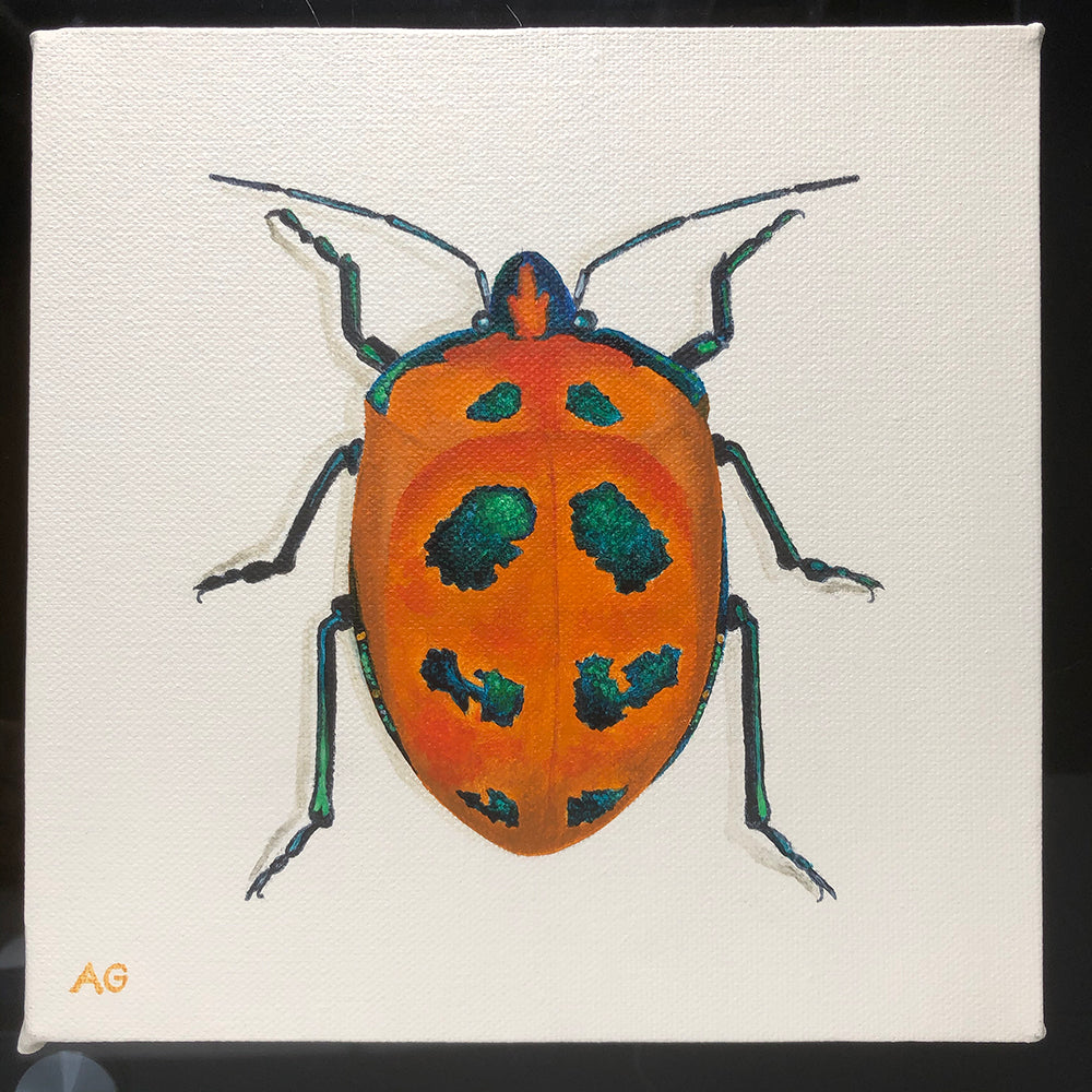 Cotton harlequin beetle original acrylic on canvas painting