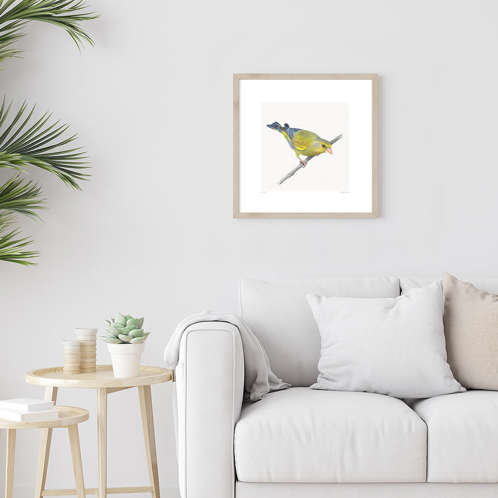 A bird giclée fine art print on paper of a Greenfinch. Image shows the print framed and in a room setting.