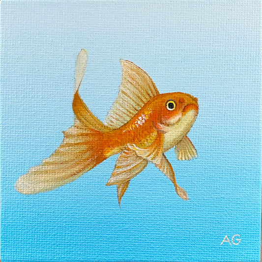 Fantail Goldfish miniature painting acrylic on 10 x 10cm canvas by Amanda Gosse