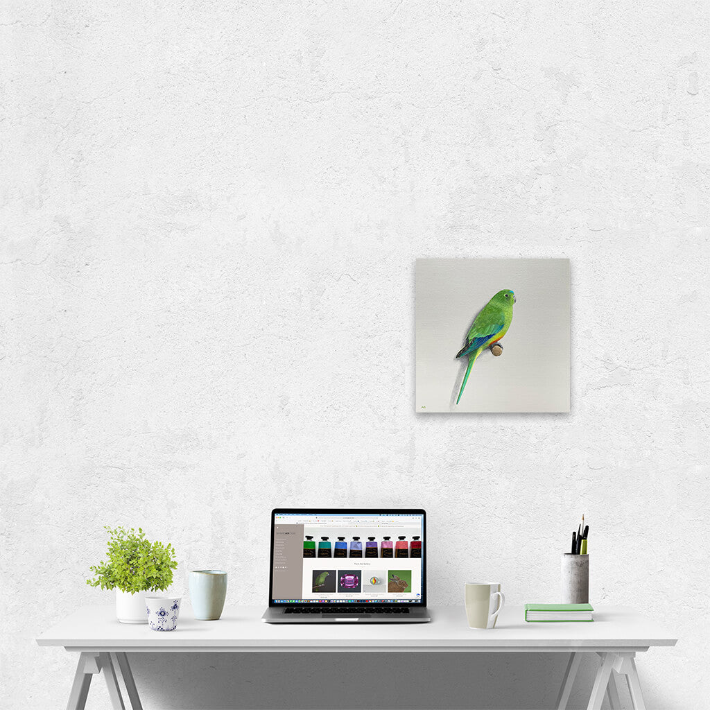 Amanda Gosse Australian bird artist