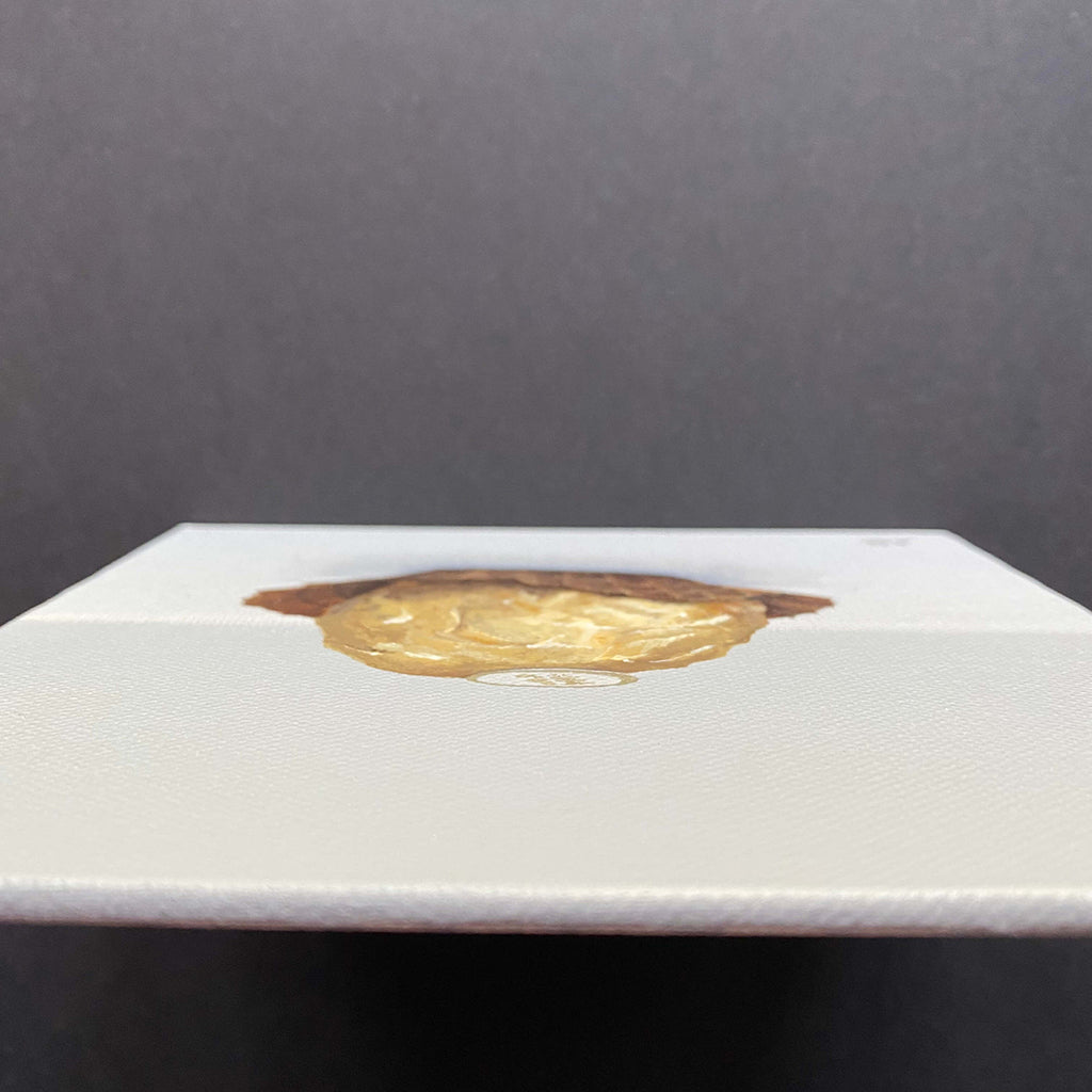 Miniature painting of a chocolate in gold foil acrylic on canvas board
