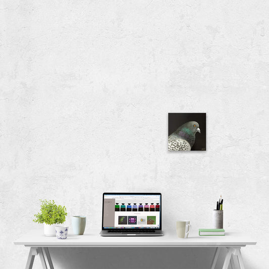 Original painting of a pigeon bird by Amanda Gosse