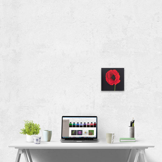 Amanda Gosse Artist Red Poppy Small Painting