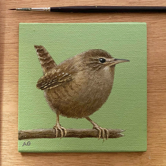 Wren miniature bird painting acrylic canvas board by Amanda Gosse