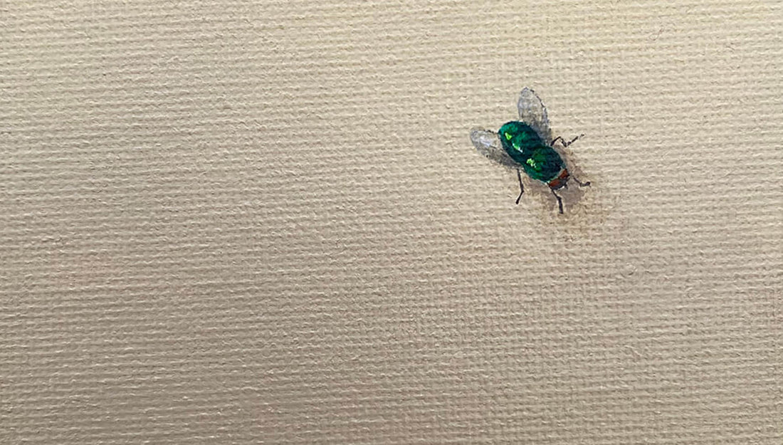 A miniature painting of a fly by Amanda Gosse