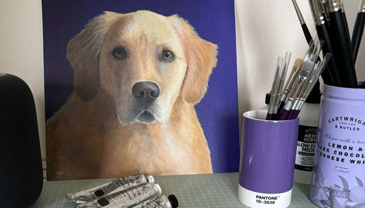 Studio Dog Sits For A Pet Portrait