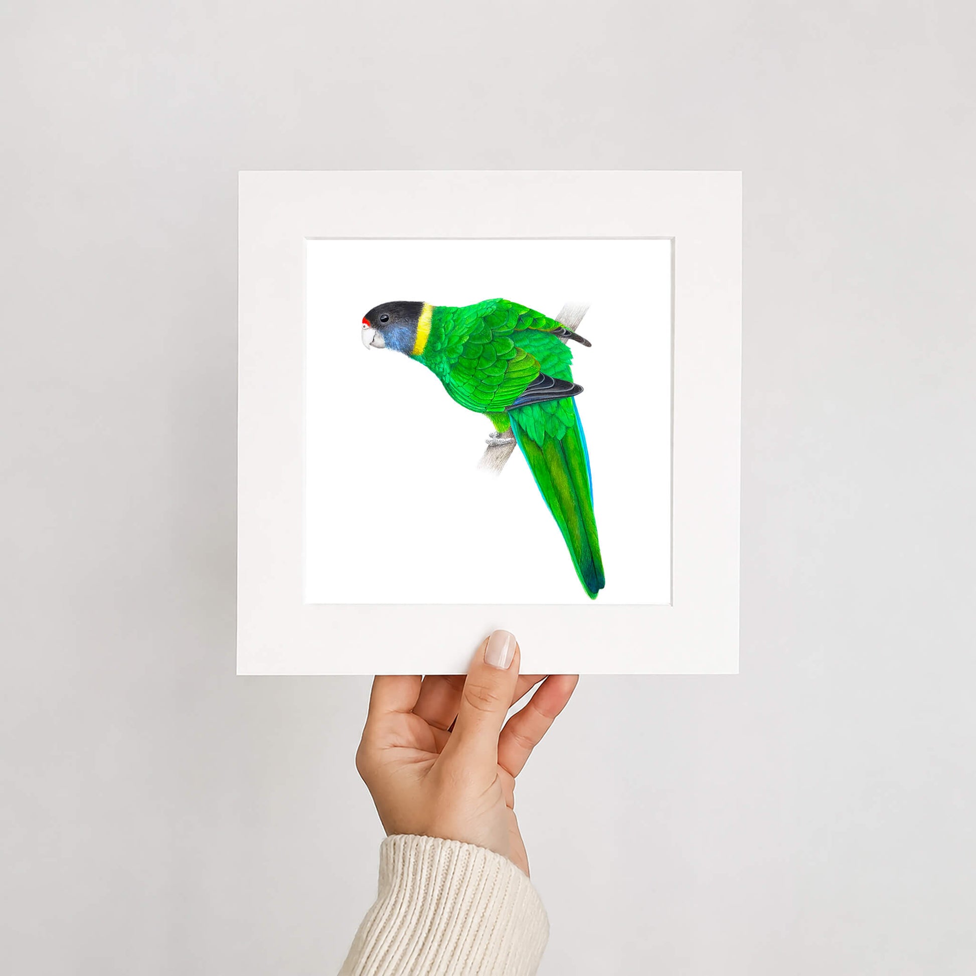 Hand holding a framed print of a green parrot against a white background