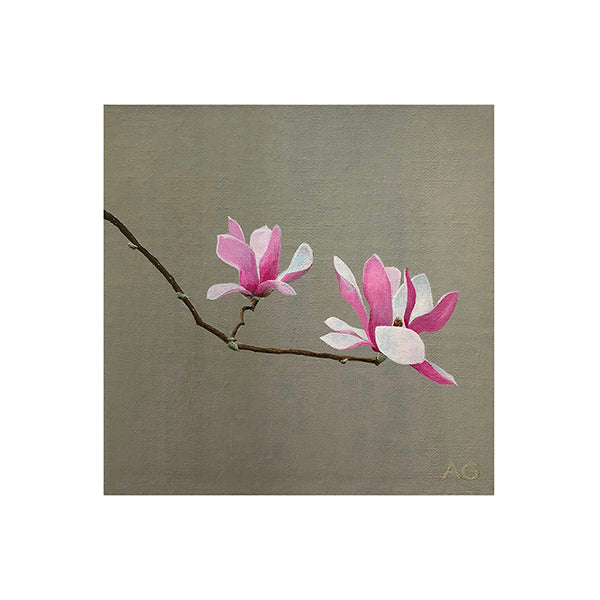 Fine art print Magnolia Flowers by Amanda Gosse artist