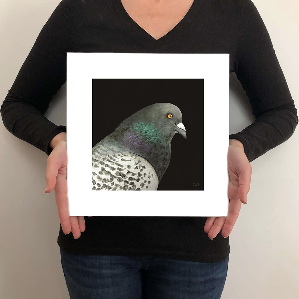 Size guide of giclée fine art print of a pigeon portrait by Amanda Gosse