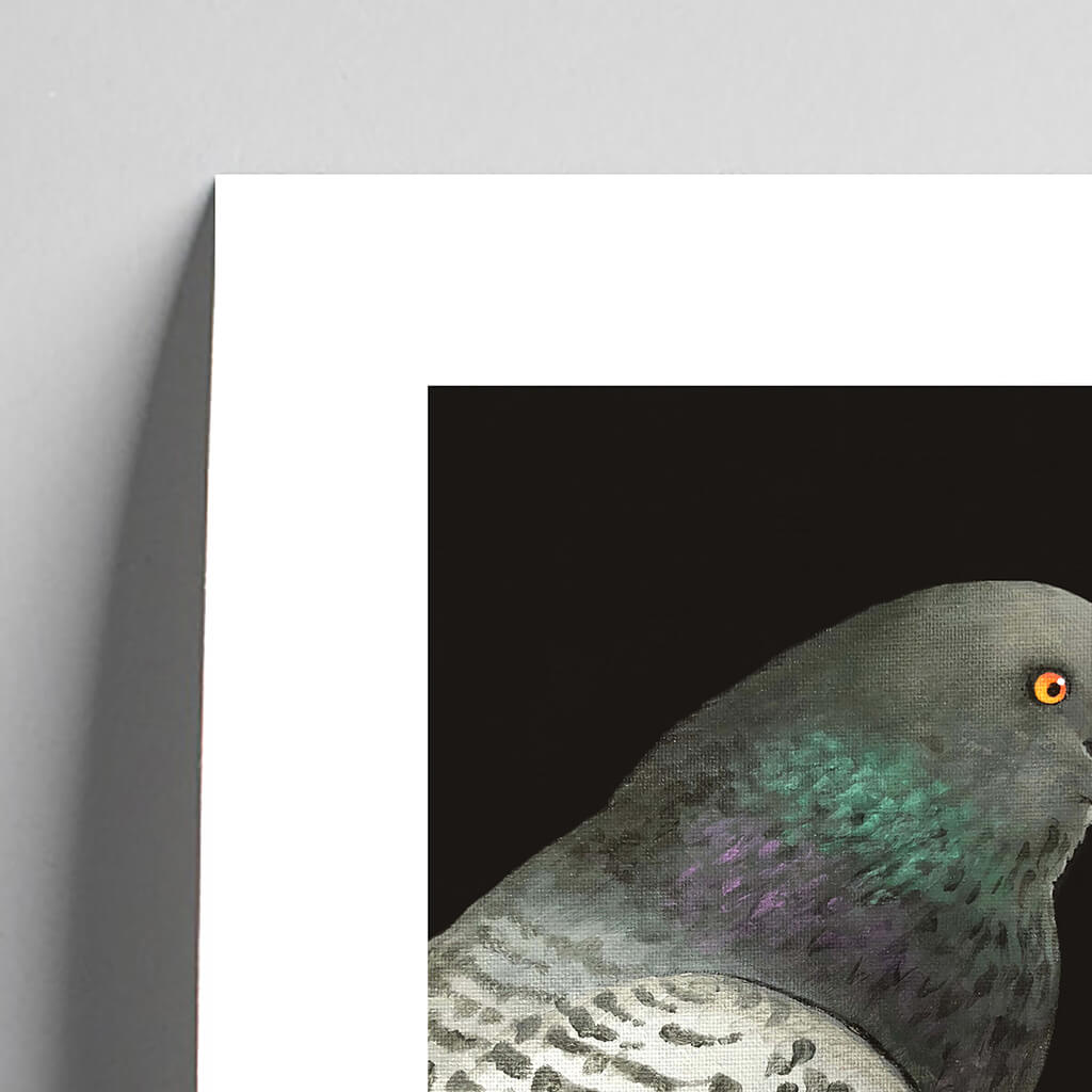 Detail of giclée fine art print of a pigeon portrait by Amanda Gosse