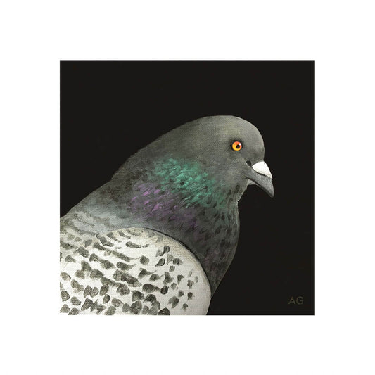 A giclée fine art print of a pigeon portrait by Amanda Gosse