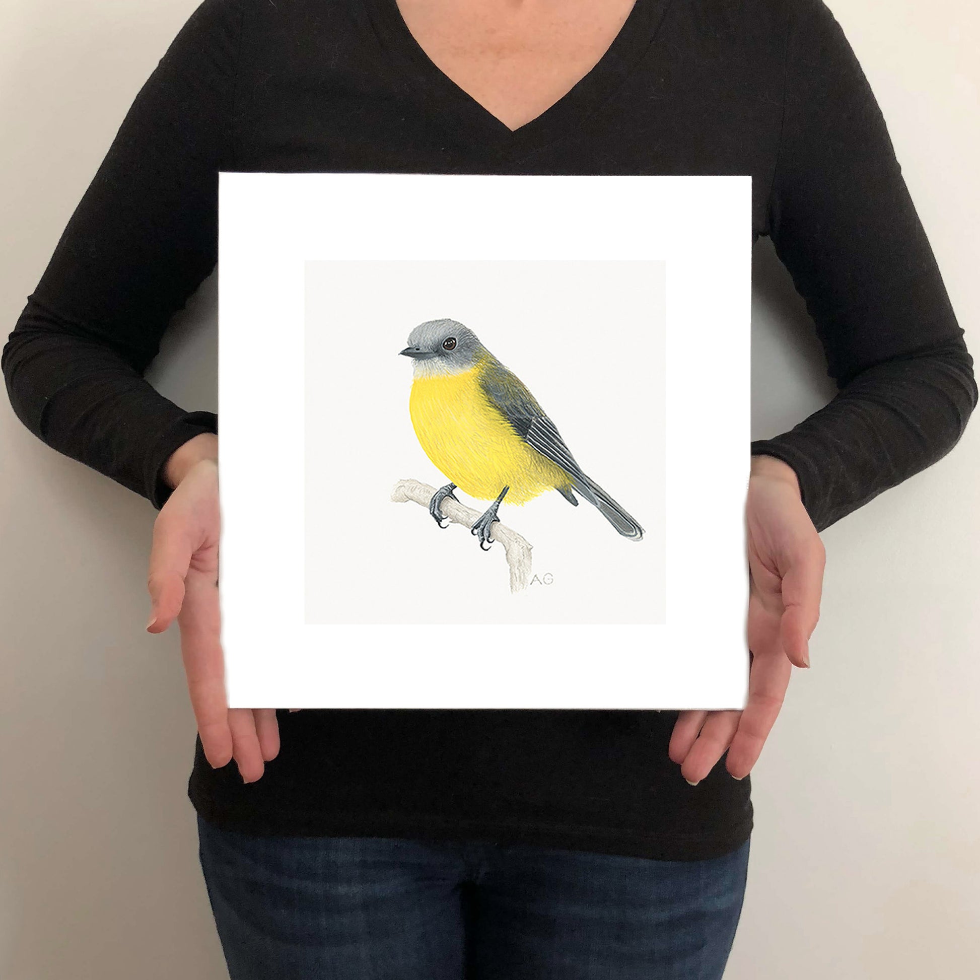 Fine art print of an Eastern Yellow Robin by Amanda Gosse held by artist as size guide