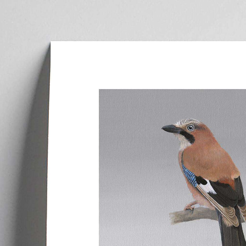 Jay fine art giclée bird print by Amanda Gosse detail