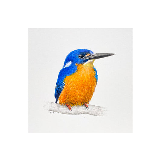 Azure Kingfisher Giclée Fine Art Print