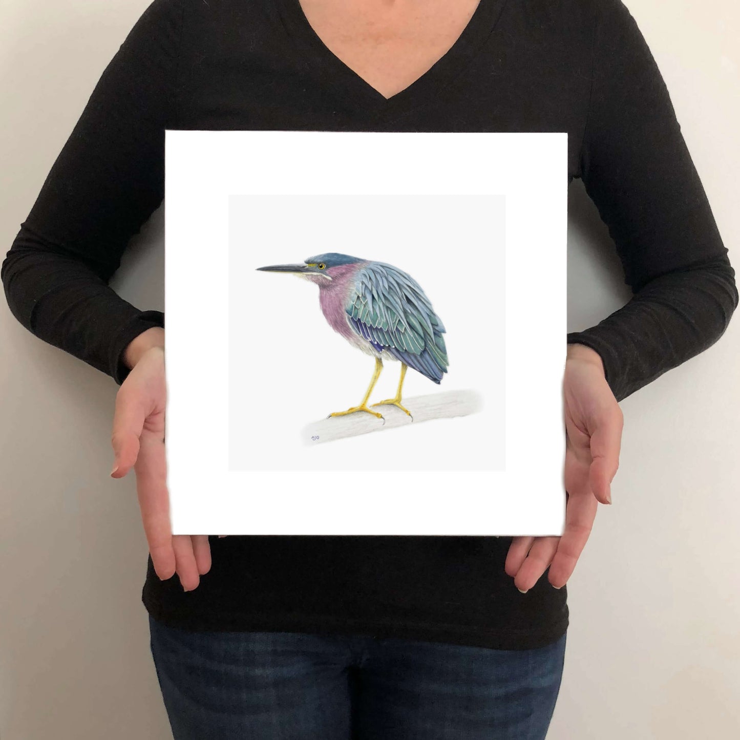 Green Heron by Amanda Gosse Gicleé Fine Art Print size guide