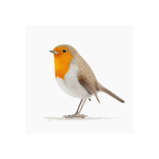 Robin Redbreast Giclée Fine Art Print by Amanda Gosse