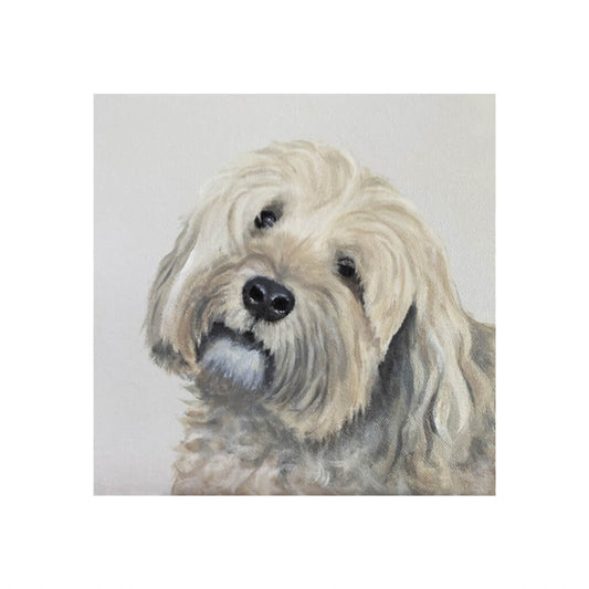 Tibetan Terrier Dog Giclée Fine Art Print by Amanda Gosse