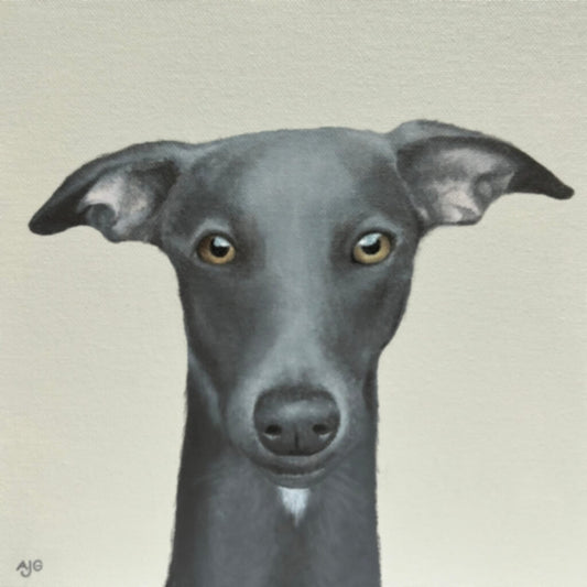 Whippet Dog Painting by Amanda Gosse Pet Portrait Commission