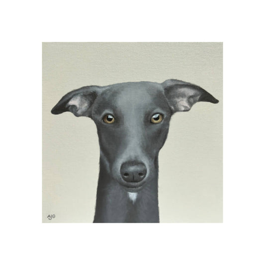 Whippet Dog Fine Art Giclée Print by Amanda Gosse