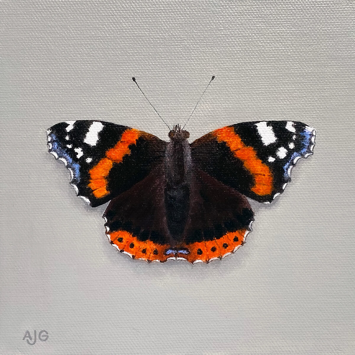 Original painting of a red admiral butterfly by Amanda Gosse AJG Artist