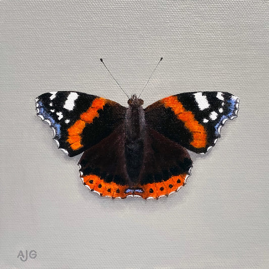 Original painting of a red admiral butterfly by Amanda Gosse AJG Artist